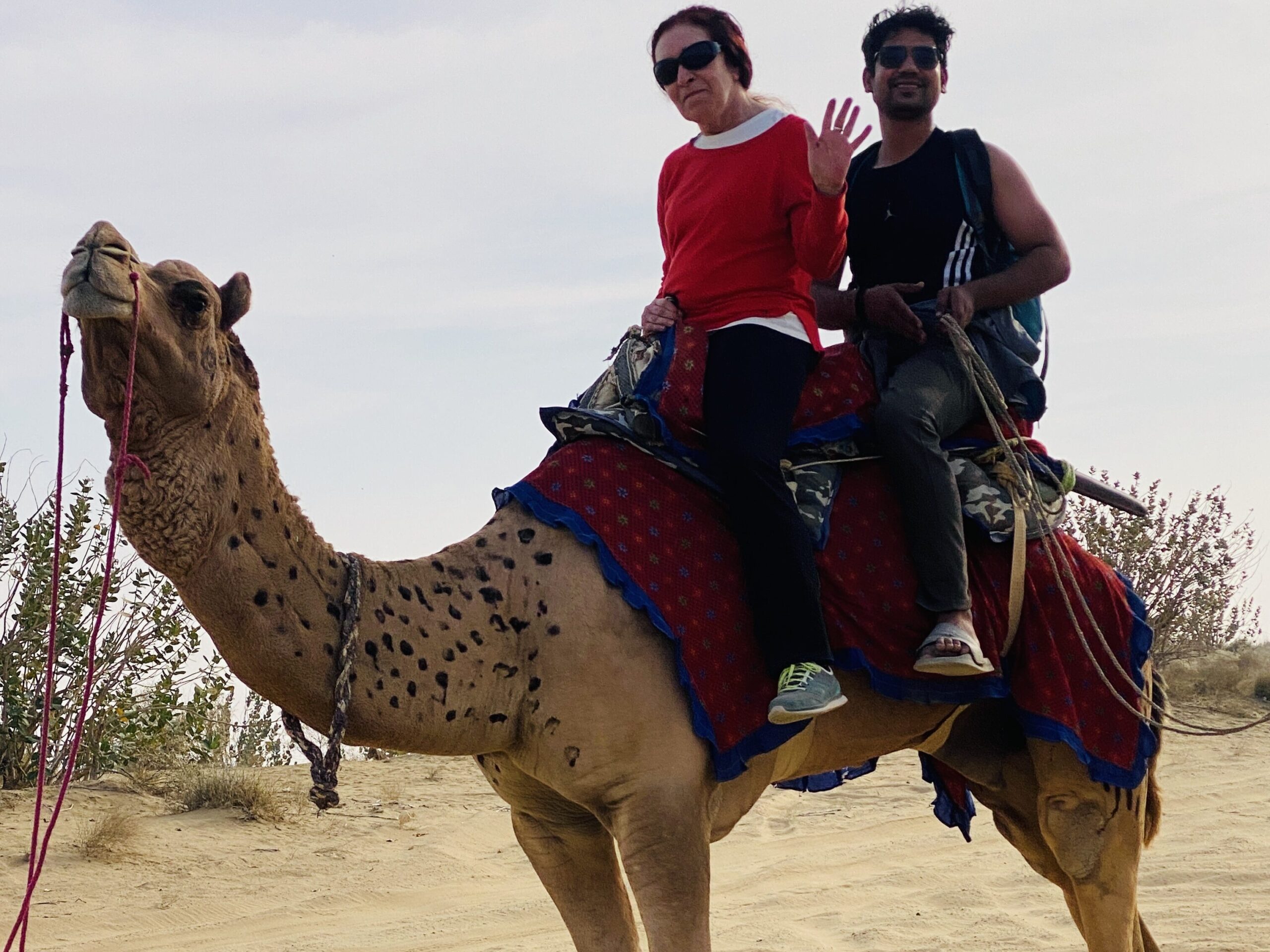 Camel Ride