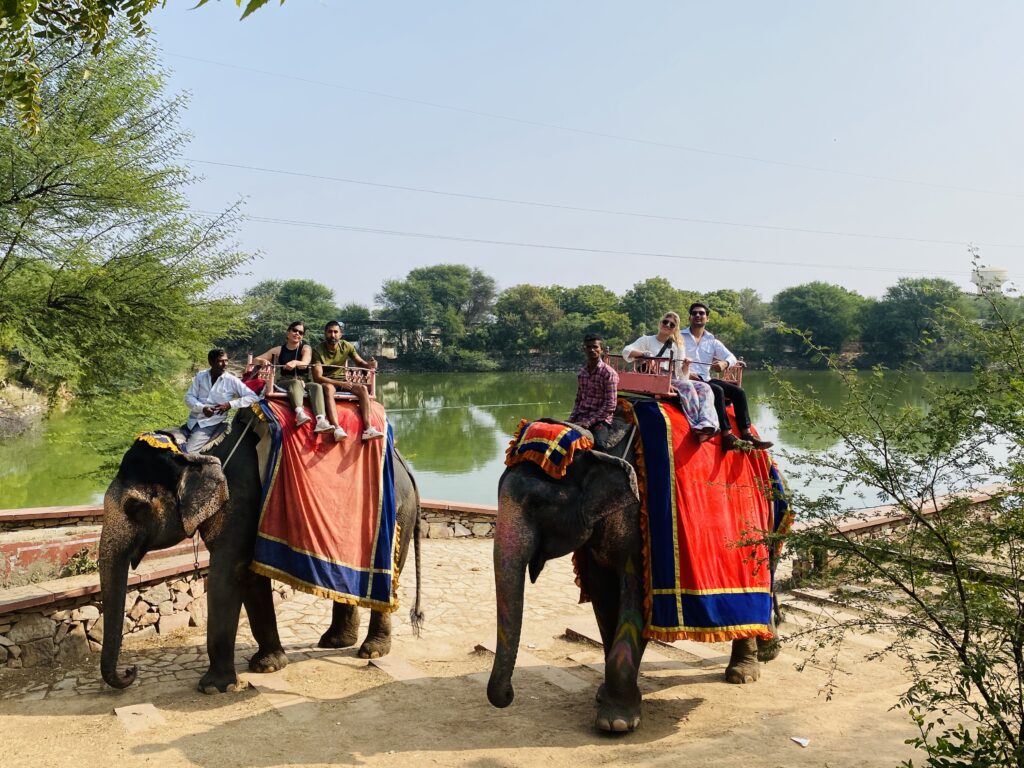 Elephant Ride